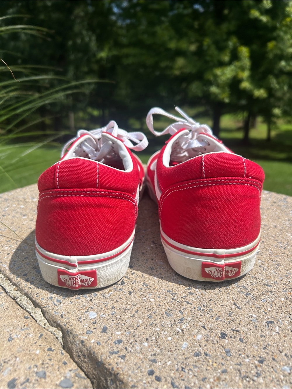Vans Red Canvas Low-Top Sneakers - Picture 3 of 6